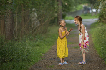 Two cute little girls talking animatedly standing in a Park.