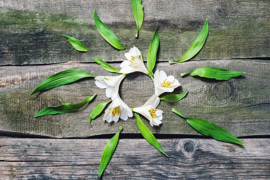 white flowers with green petals on aold wooden floor