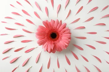 Zelfklevend Fotobehang Beautiful flower with petals on white background © Africa Studio