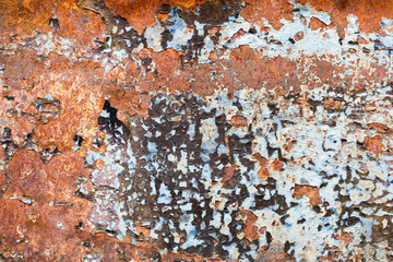 A background of peeling paint and rusty old metal