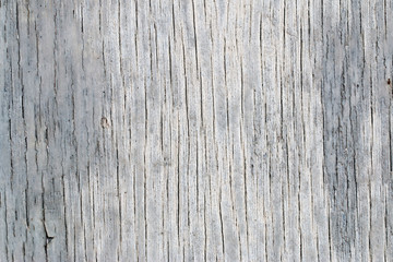 wood texture. background old panels