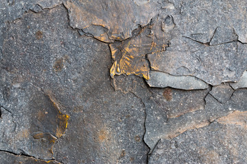 A background of peeling paint and rusty old metal