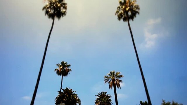 Palm Drive California