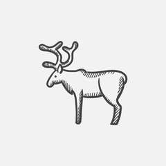 Deer sketch icon.
