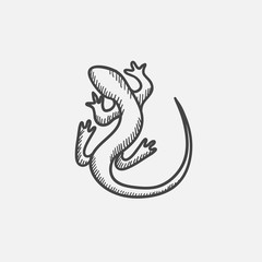 Lizard sketch icon.