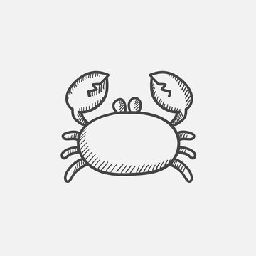 Crab sketch icon.