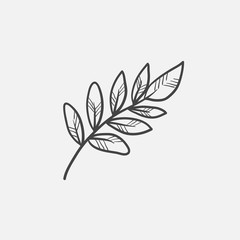 Palm branch sketch icon.