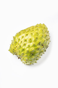 340 Best Guyabano Images Stock Photos Vectors Adobe Stock