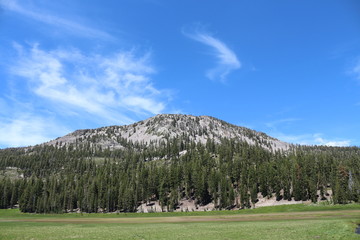 Reading Peak And Kings Creek Meadows