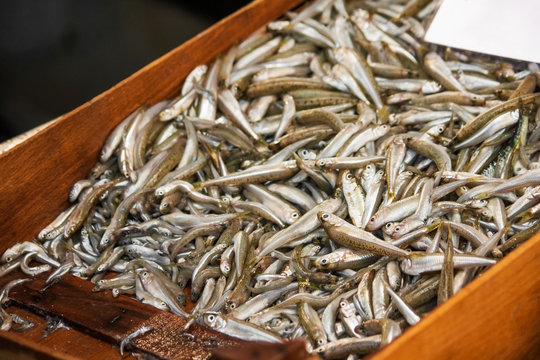 Fresh anchovies in a wooden crate on the fish market in Athens, Greece. 