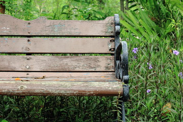 Empty Wooden Bench In the Park