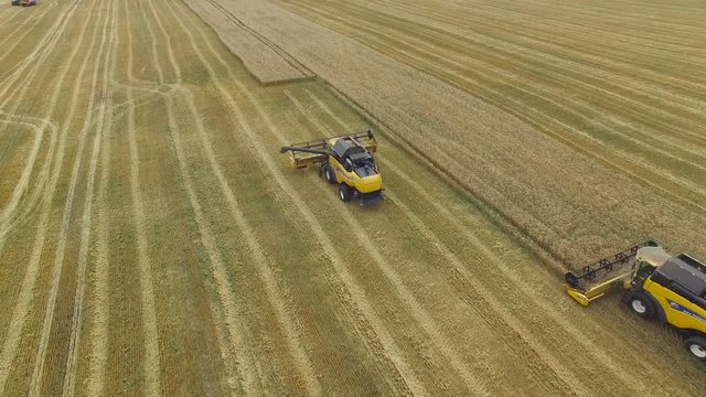 Combine harvester gathers the grain. The flight over a field of wheat. aerial survey