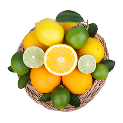 Naklejka na ściany i meble Mix of fresh citrus fruits on white