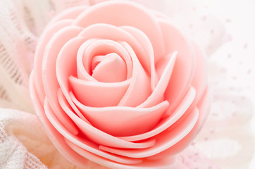 Center of beautiful pink rose.