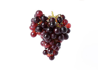 Fresh Red grape fruits Isolated