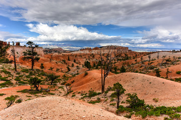 Bryce Canyon National Park