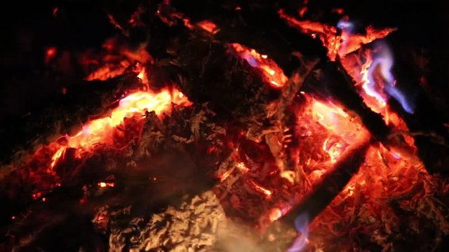 Тлеющие угли в костре
