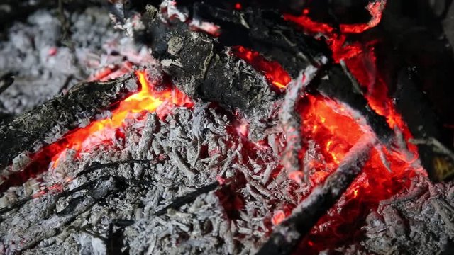Тлеющие угли в костре

