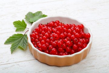 Red currants