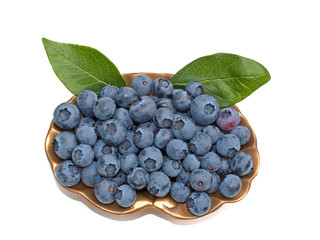 Heidelbeeren, Vaccinium