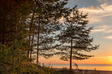 Sunset in Jurmala - famous Baltic resort, Latvia, Europe
