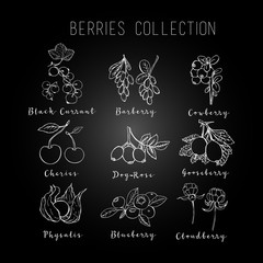 Illustration of berries collection. It can be used for design menu, packaging. Freehand drawing with imitation of chalk sketch.