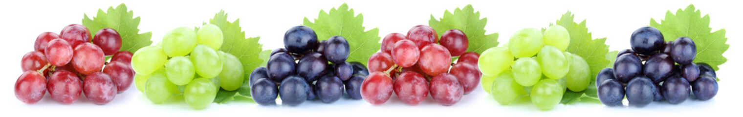 Trauben Weintrauben Früchte Frucht Obst in einer Reihe Freistel