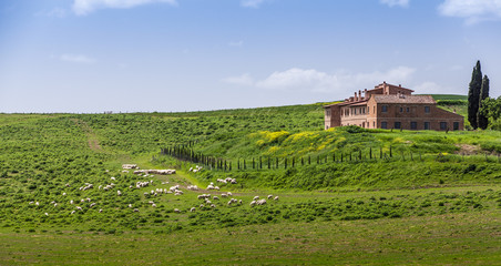 Fototapeta na wymiar Tuscan farm villa