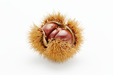 栗