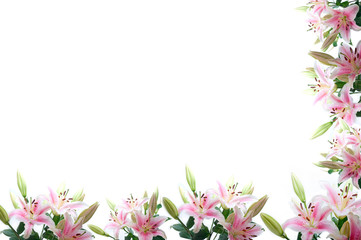 lily flowers composition frame