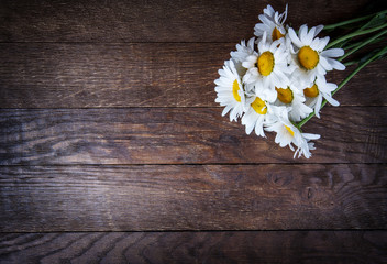 Obraz premium chamomile flowers on wooden table background