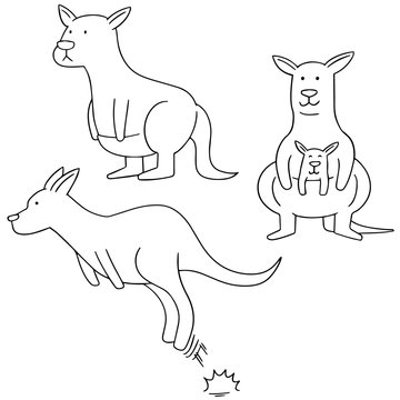 vector set of kangaroo