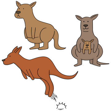 vector set of kangaroo