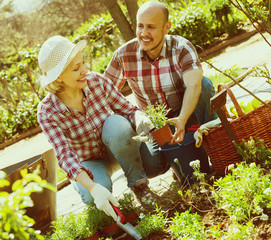 Couple looking after flowers in the garden