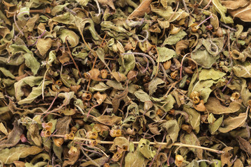 Organic dry Green or Holy Basil (Ocimum tenuiflorum) leaves. Macro closeup background texture. Top View.