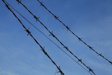 Rusty barbed wire, blue sky background