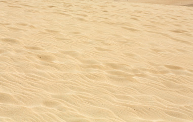 Fototapeta na wymiar Sand patterns after wind on the Nature reserve, Park Natural, Corralejo, Fuerteventura, Canary Islands, Spain.