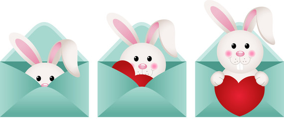 Bunny inside love letter
