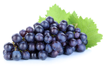Trauben Weintrauben blau Früchte Obst Freisteller freigestellt - obrazy, fototapety, plakaty