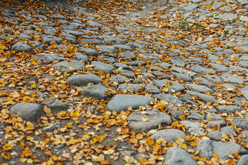Autumn cobblestone road