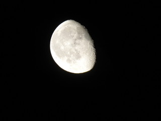 Luna © roccopanz