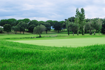 Fototapeta premium Golfnoe field with fresh grass