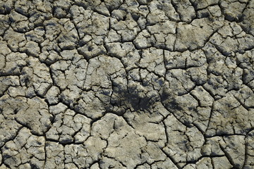 Climate warming dry chapped land