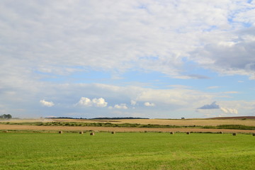 Field in Latvia
