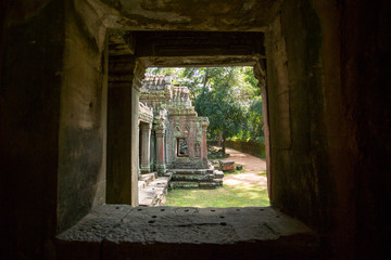 Ruins of Ta Prohm temple