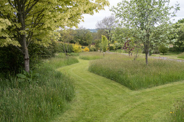 Fototapeta na wymiar Mowed paths through a garden with grass and trees