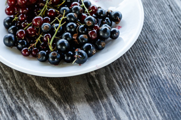 Black currant berries