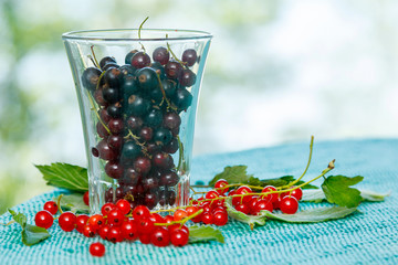 Currant in the glass