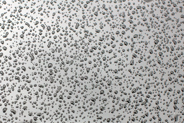 Many water drops