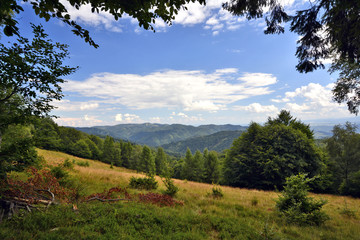 Leśna polana w górach Cergov, Słowacja © Jurek Adamski